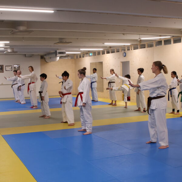 Ramon is teaching karate