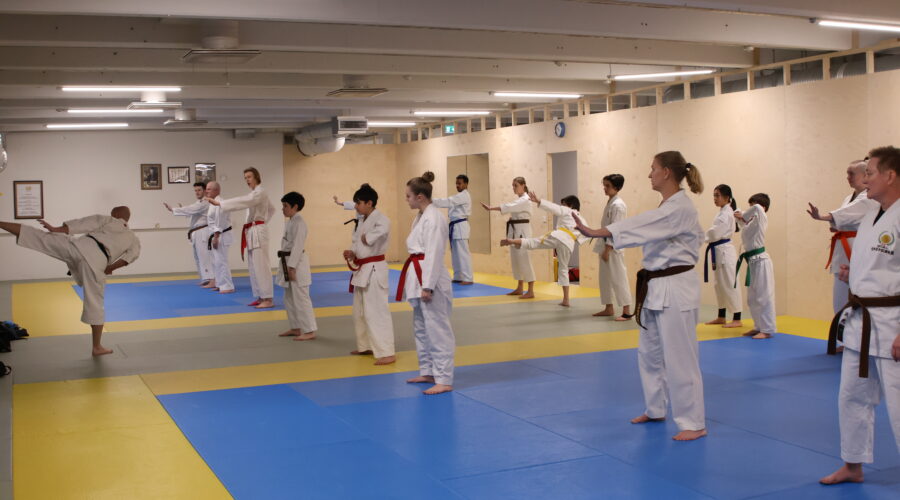 Ramon is teaching karate