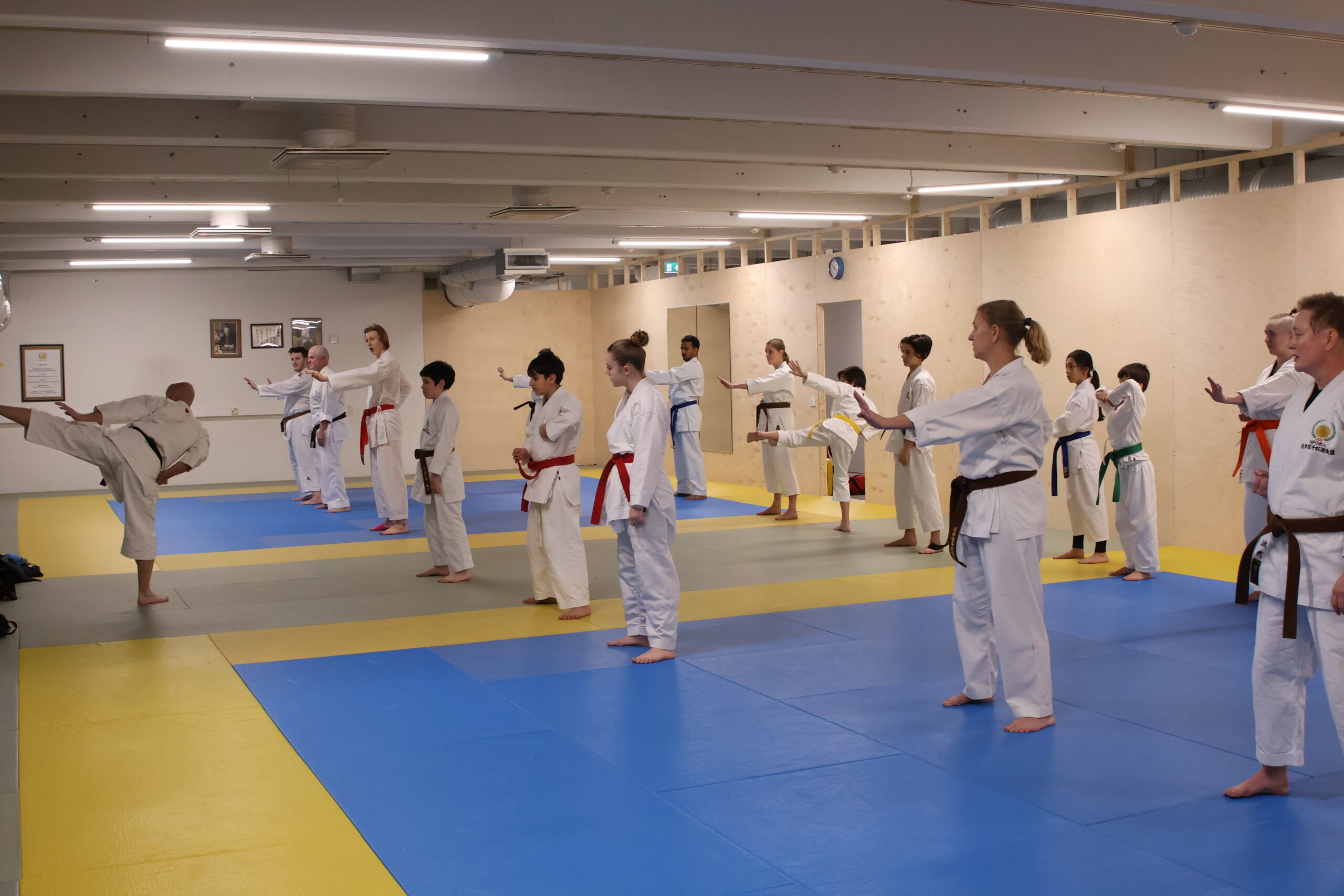 Ramon is teaching karate